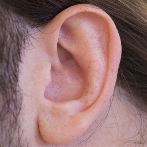 How To Unclog Ears From Congestion Naturally Ehow Unclog Ears Ear