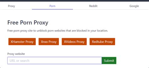Unblock Website Ways To Unblock Sites Of Porn Torrent Etc