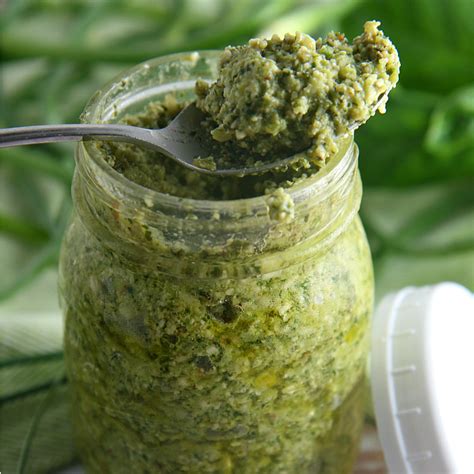 Garlic Scapes Pesto A Dish Of Daily Life