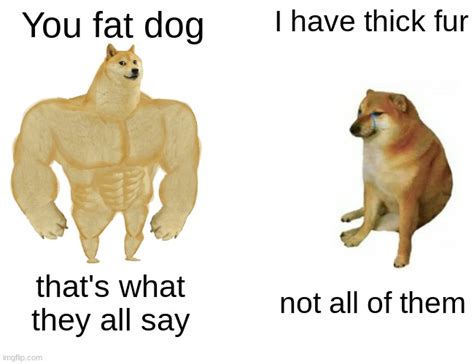 Husky Meme Fat