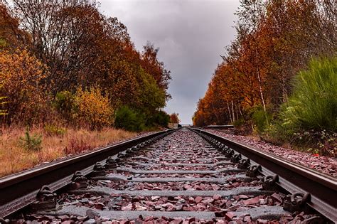 Railway Rails Trees Autumn Landscape Hd Wallpaper Peakpx