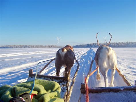 Lapland Day Trips Lapland Holiday Experts