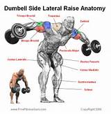 Lateral Muscle Exercises Pictures