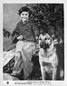 0 william severn with a german shepherd