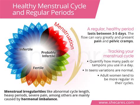 Healthy Menstrual Cycle And Regular Periods Shecares