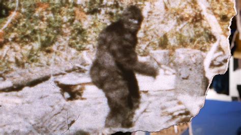 Watch The Missing Evidence Season Episode Bigfoot Full Show On