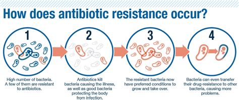 Mechanism Of Antibiotic Resistance Mechanisms Of Antibiotic