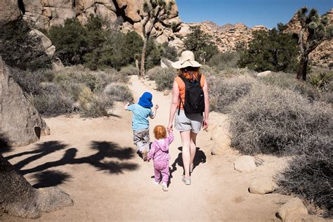 11 Best Day Hikes In Joshua Tree National Park Outdoor Project