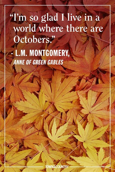 These Autumnal Quotes Will Put You In The Mood For Fall Autumn Quotes