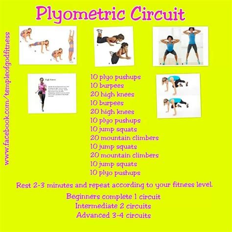 Plyo Circuit Bodyweight Workout Plyometrics Plyo