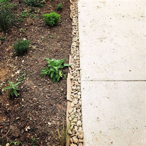 The Top 42 Garden Edging Ideas Enhancing Your Outdoor Space With