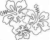 Coloring Flower Hawaiian Flowers Printable Hawaii Sheets Drawings Template Coloringhome sketch template