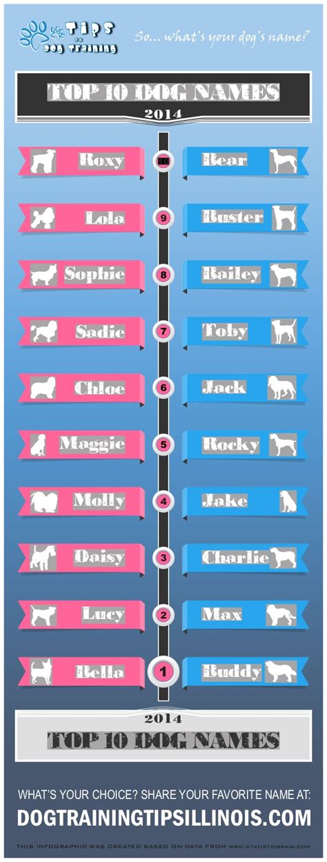 Top Ten Dog Names For 2014 Male And Female Breed
