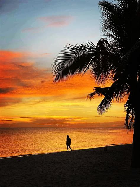 Beach Sunset Beaches Boracay Palm Palms Philippines Sunsets Hd