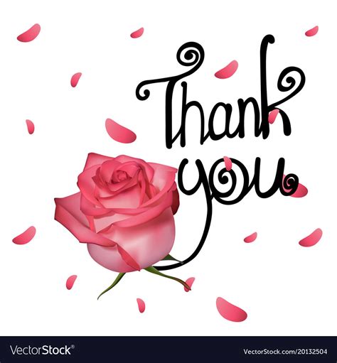 Thank You With Rose Royalty Free Vector Image Vectorstock