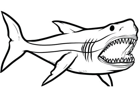 Shark Drawing Easy Free Download On Clipartmag