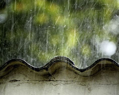 Rainy Season Beautiful Natural Scenery Desktop Wallpaper Preview