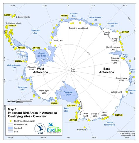Important Bird Areas In Antarctica Antarctic Environments Portal
