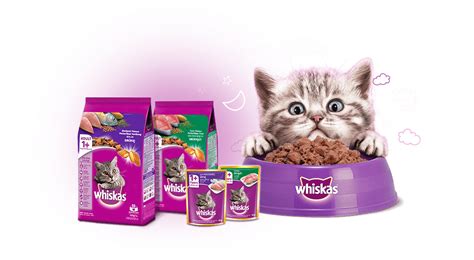 Jom kita baca yang mana makanan kucing yang terbaik untuk bulu, gigi, gemuk dan greens menghasilkan makanan kucing super premium untuk semua peringkat umur kucing yang digubal untuk memenuhi tahap pemakanan kucing yang. Makanan Kucing Terbaik - Whiskas Malaysia 2021