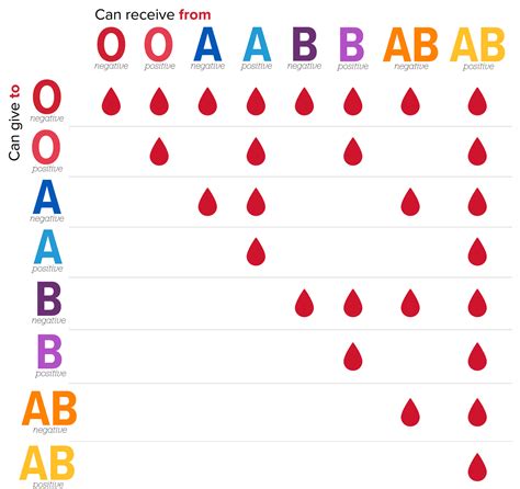 Blood type, also known as blood group, though not unique, differs from person to person. O- Donate Blood - The Blood Connection