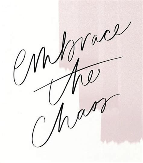 Embrace The Chaos Quotes Chairsxe