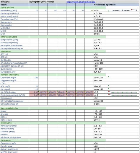 Excel Tabelle Als Vorlage Zur Erfassung Von Blutwerten