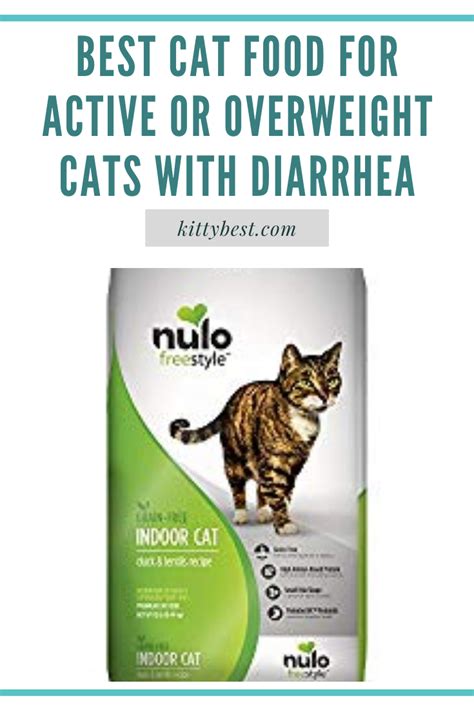 These vets believe that commercial pet foods, especially dry foods, are a contributing factor to the large numbers of cats with chronic ibd. Best Cat Food For Active Or Overweight Cats With Diarrhea ...