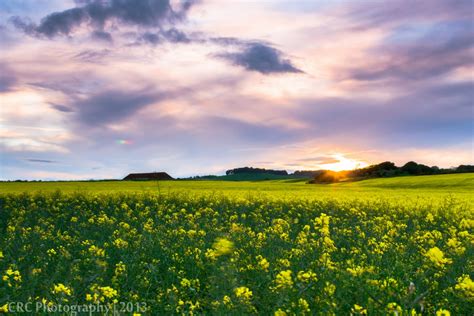 Immagini Belle Paesaggio Orizzonte Nube Cielo Tramonto Prato