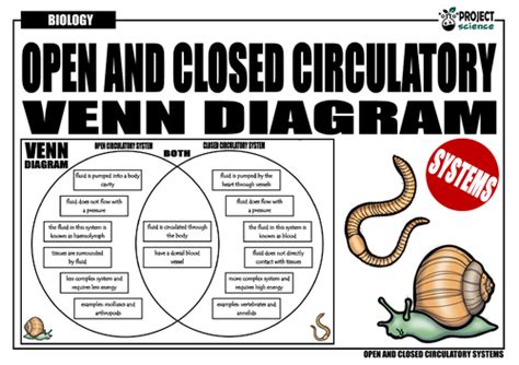 Circulatory System Open And Closed Venn Diagram Teaching Resources
