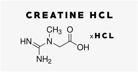 Creatine Hcl Uses Side Effects Interactions Dosage And Supplements