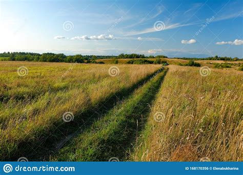 A Dirt Country Road In The Field Of Yellow Autumn Grass Under A Blue