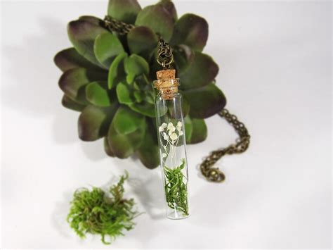 Terrarium Necklace Glass Vial Necklace Moss Necklace Real Etsy