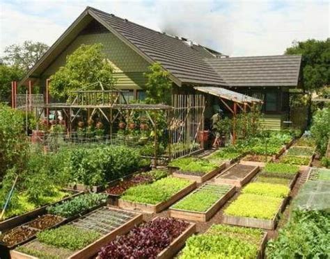 Секреты планировки огорода под посадку овощей Мои Идеи Для Дачи и