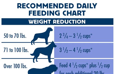Blue Buffalo Puppy Feeding Chart Cool Product Evaluations Offers