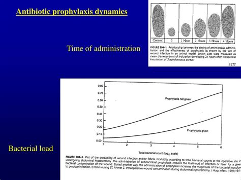 Ppt Surgical Wounds And Antimicrobial Prophylaxis