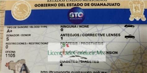 Licencia De Conducir Guanajuato 2022 Requisitos Cita 2022 Hot Sex Picture