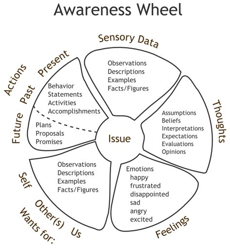 Wheel Of Awareness Worksheet