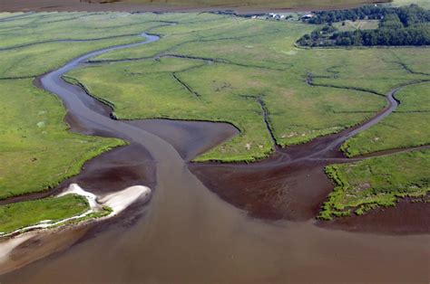 Pseandg Estuary Enhancement Program Environmental Permitting And