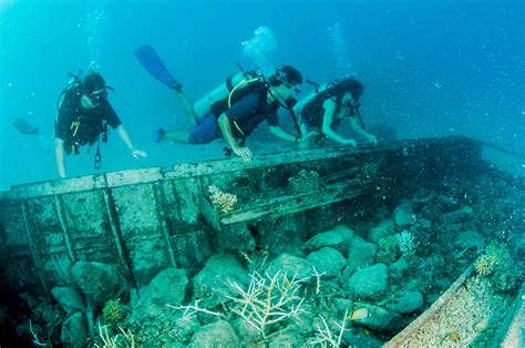 An artificial reef structure rings the building perimeter, consisting of a. Shipwrecks: Examples of Coral Colonization on 'Artificial ...