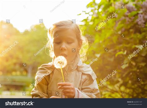 Little Girl Blowing Dandelion Park Stock Photo 422951137 Shutterstock