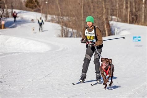 Dog Skijoring May Be The Coolest Winter Sport You Could Try With Your Pup