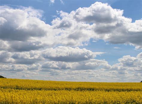 It's located in thüringen, germany.ein kleiner traditional am haus birkenmoor. Allerlei Ackerei: Startschuss auf Gut Birkenmoor - Kiel am ...