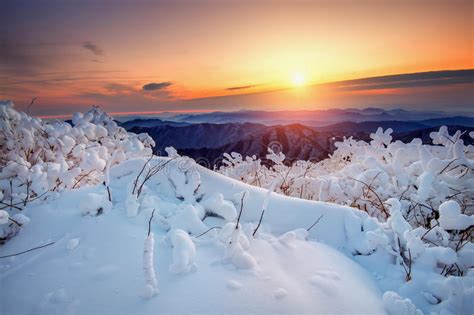 Sunrise On Deogyusan Mountains Covered With Snow In Winter
