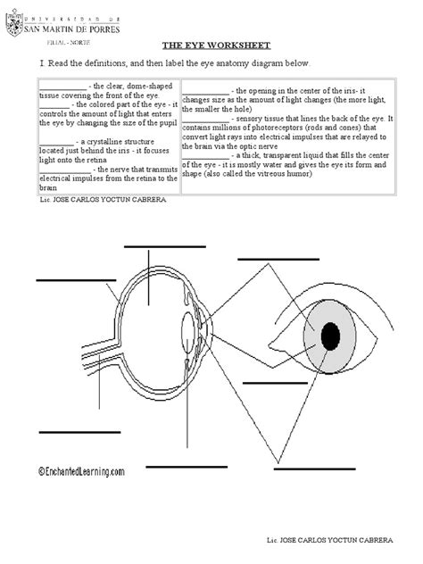 The Eye Worksheet Pdf Eye Retina