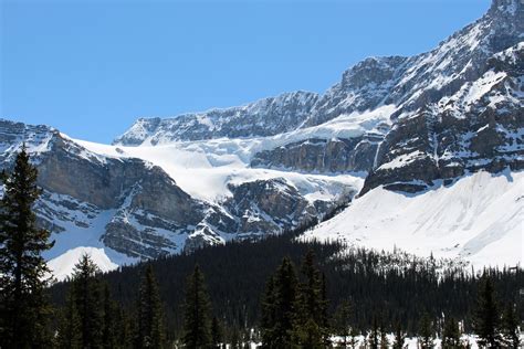 Crowfoot Glacier Banff National Park Alberta Crowfoot G Flickr