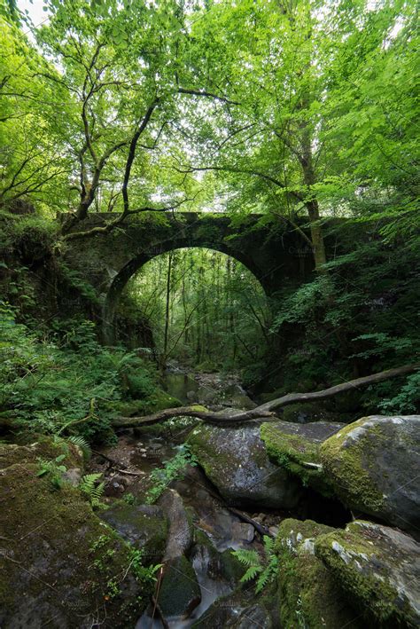 Old Stone Bridge Hidden In The Fores High Quality Nature Stock Photos