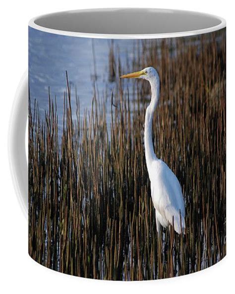 Great Egret Click On The Image To Get Mug Prints And Much More