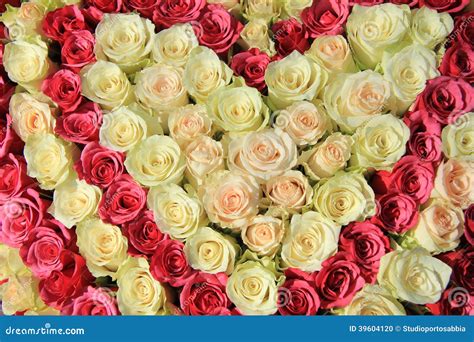 Pink Roses In Different Shades In Wedding Arrangement Stock Photo
