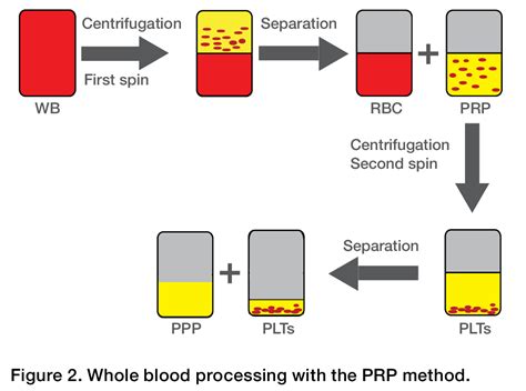 Blood Banking And Large Capacity Centrifugation