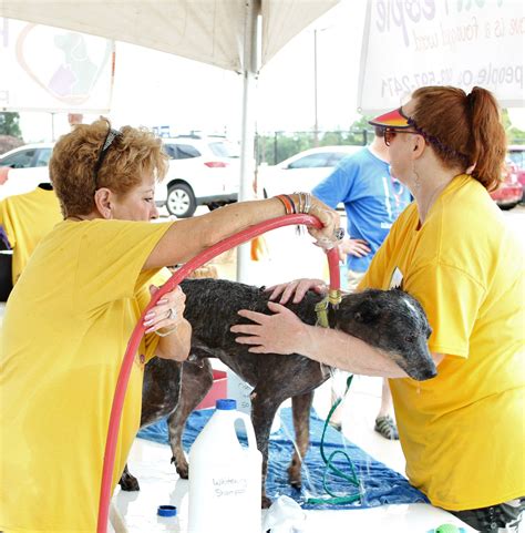 Events | The Humane Society's Pets Fur People